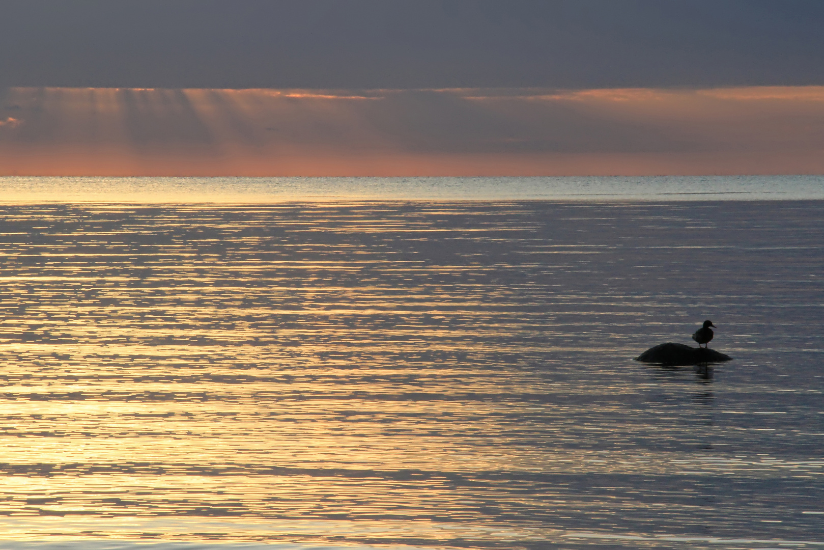 stiller Ostsee-Morgen  -  quiet Baltic Sea morning