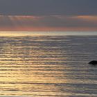 stiller Ostsee-Morgen  -  quiet Baltic Sea morning