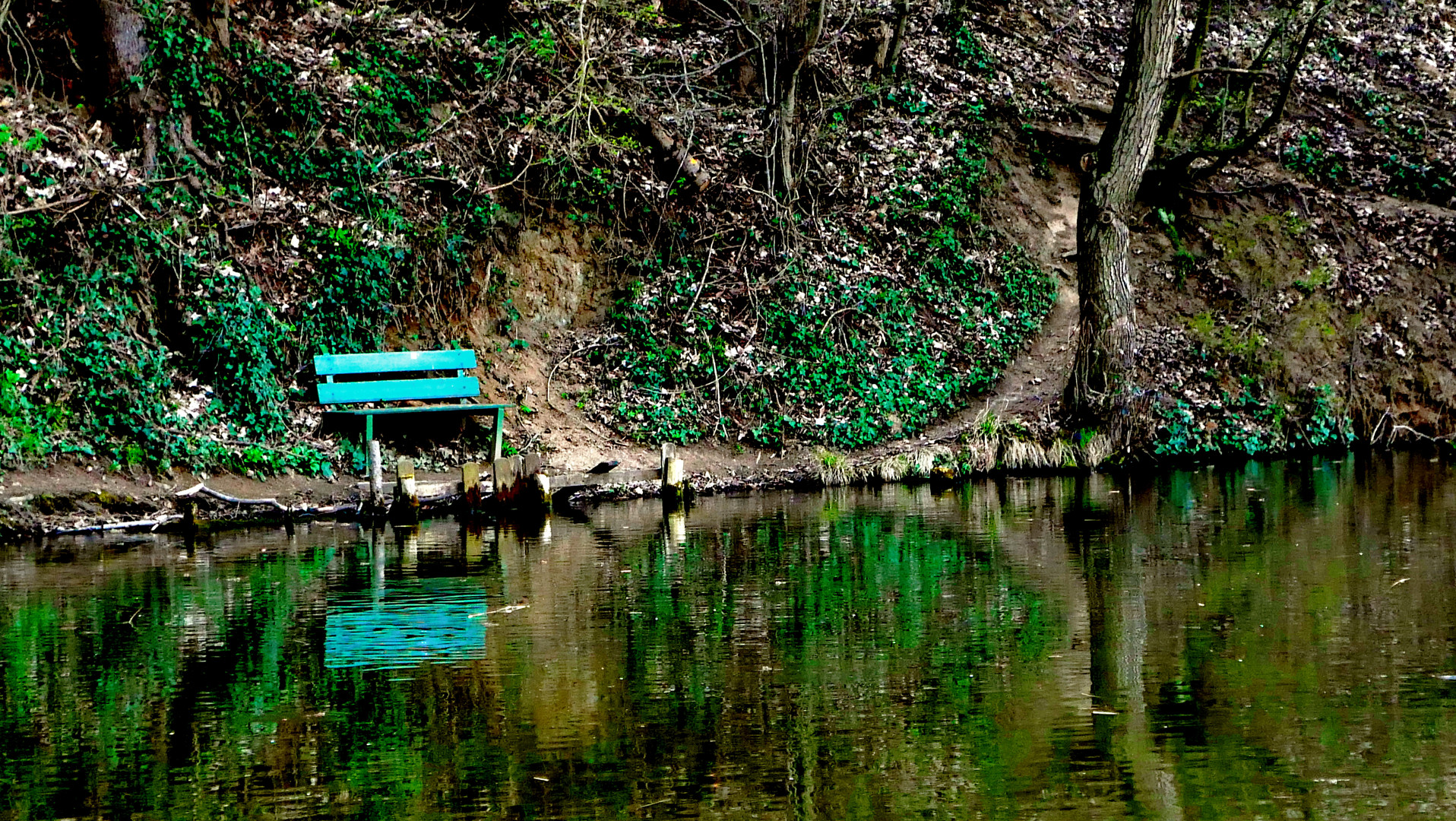 stiller Platz am Teich