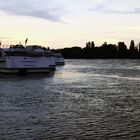 Stiller Rhein-002