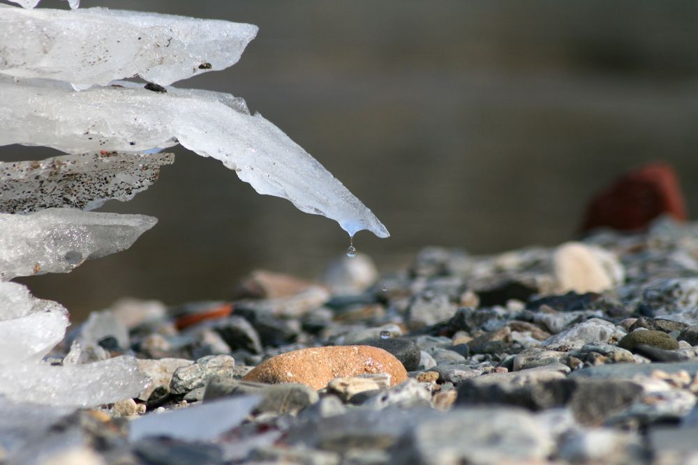 stiller Rückzug von Seb-Foto 