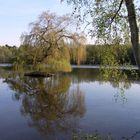 Stiller See im Tal der Schwalm.