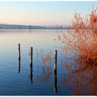 Stiller Süßer See