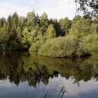 Stiller Waldsee