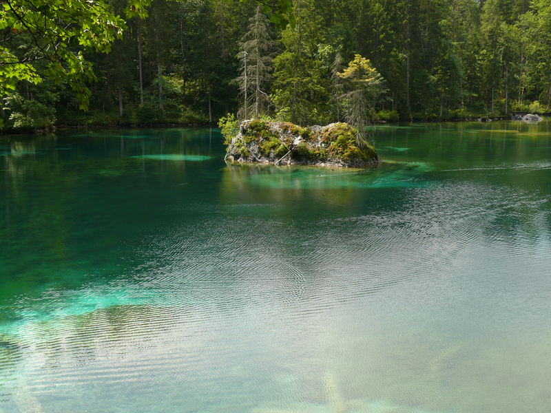 Stiller Waldsee