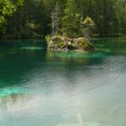 Stiller Waldsee