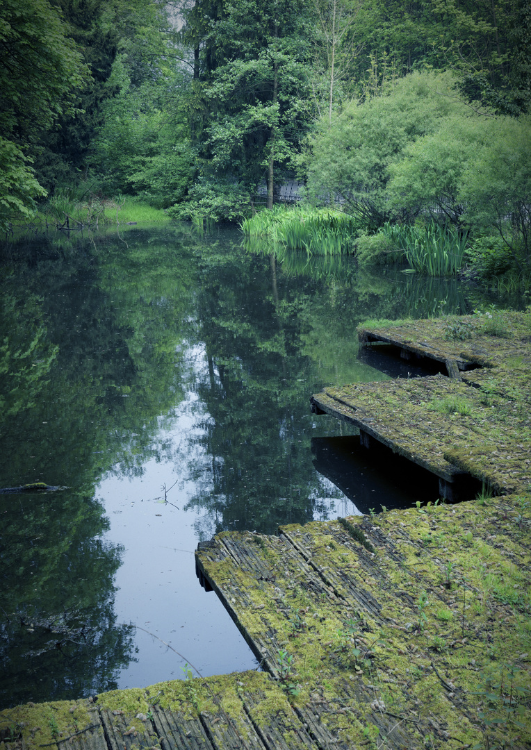 Stiller Weiher