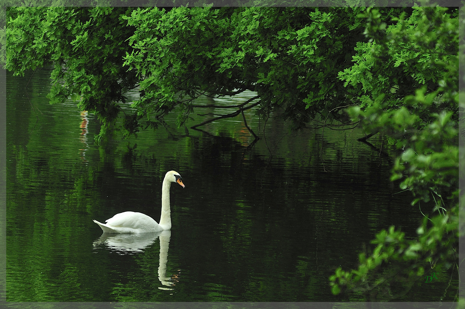 Stiller Winkel am See