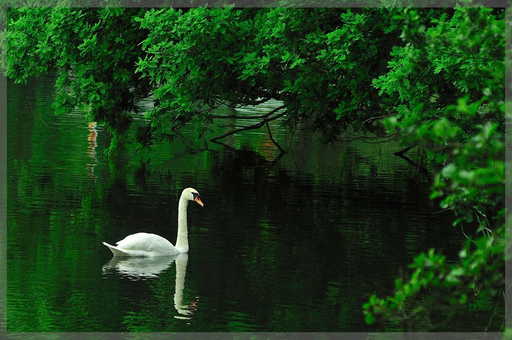 Stiller Winkel am See