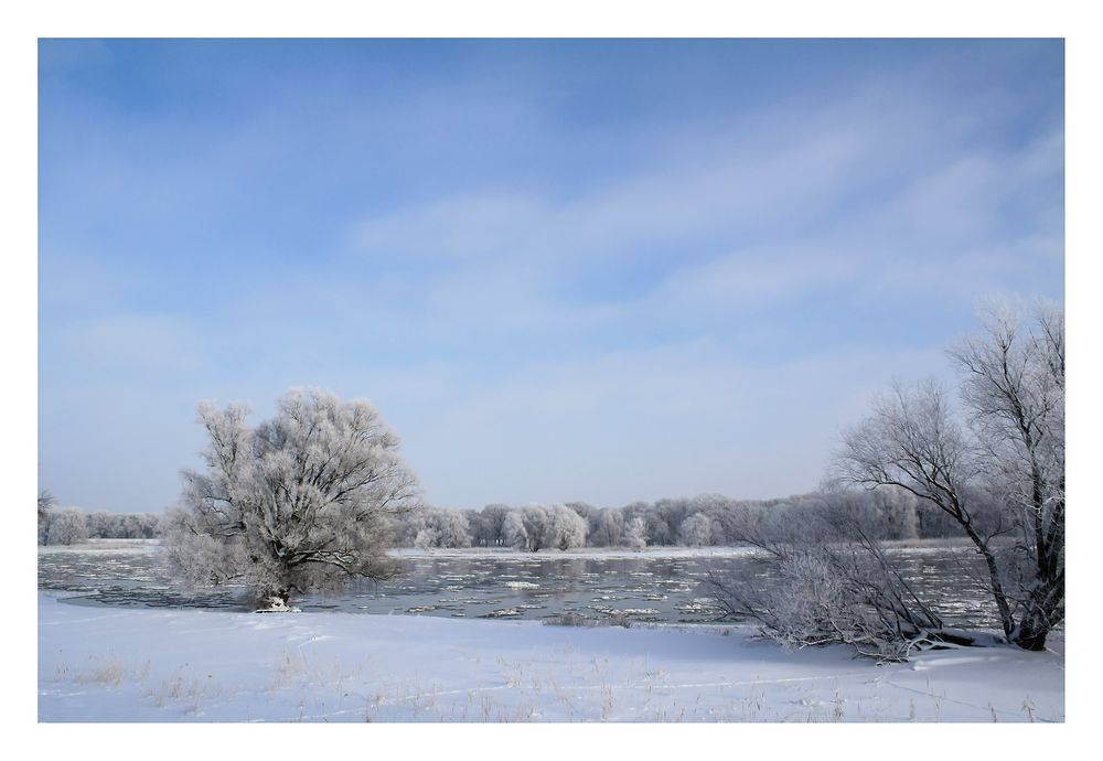 Stiller Winter am Fluß