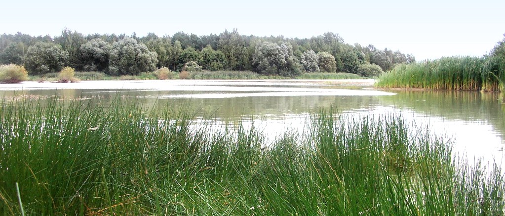 Stilles Eckchen am Stausee