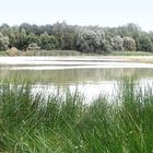 Stilles Eckchen am Stausee