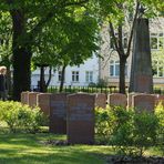 Stilles Gedenken auf dem Ehrenfriedhof in Rostock (2)