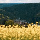 stilles Gemäuer - Coronabildstrecke 011