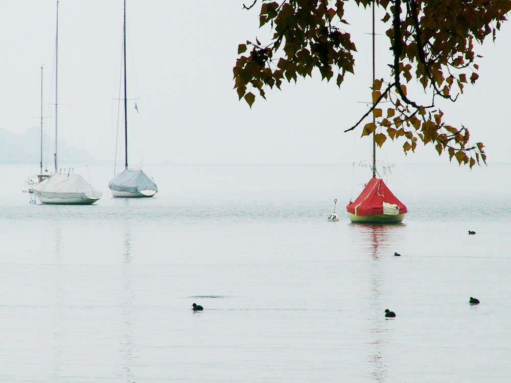 Stilles herbstliches Wasser