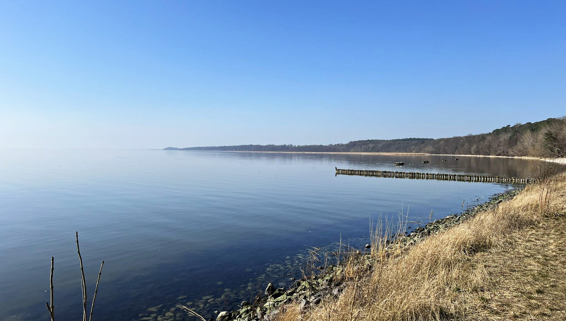 Stilles Oderhaff
