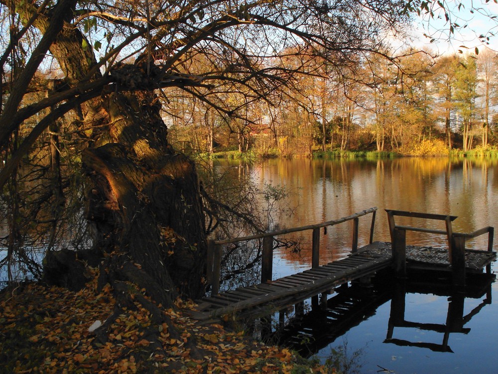 Stilles Örtchen am Krummensee