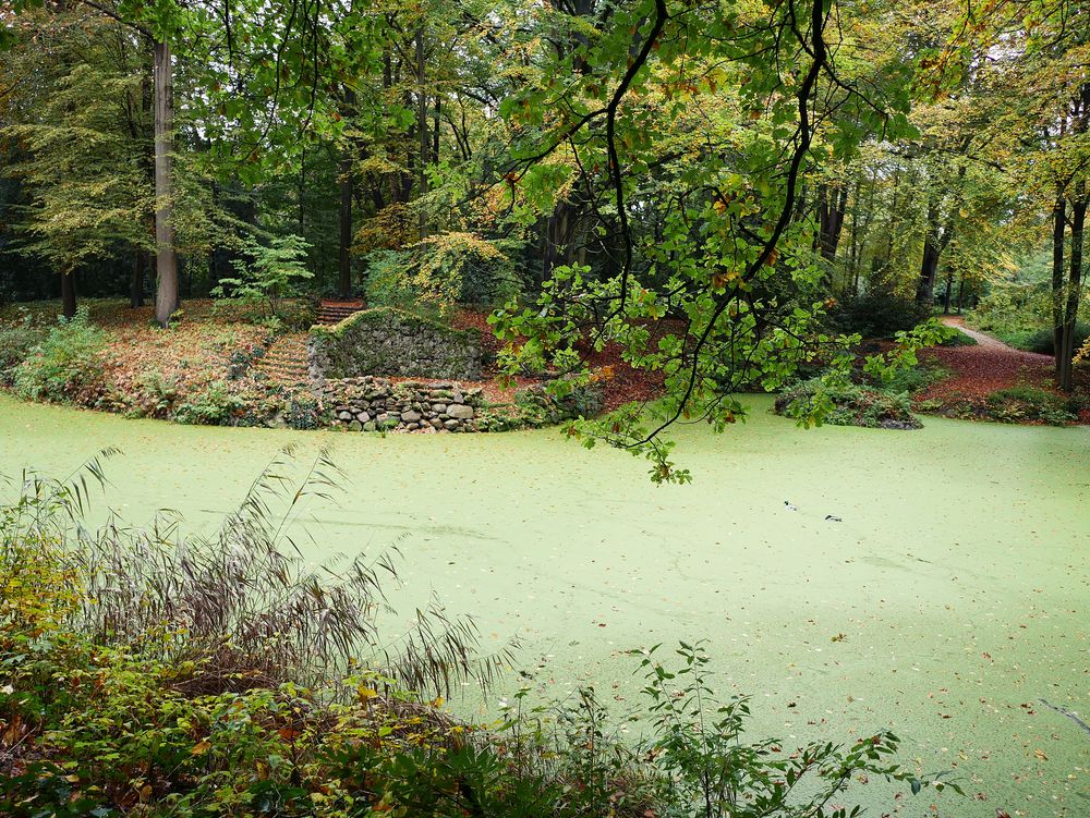 Stilles Örtchen Foto & Bild park, teich, natur Bilder auf
