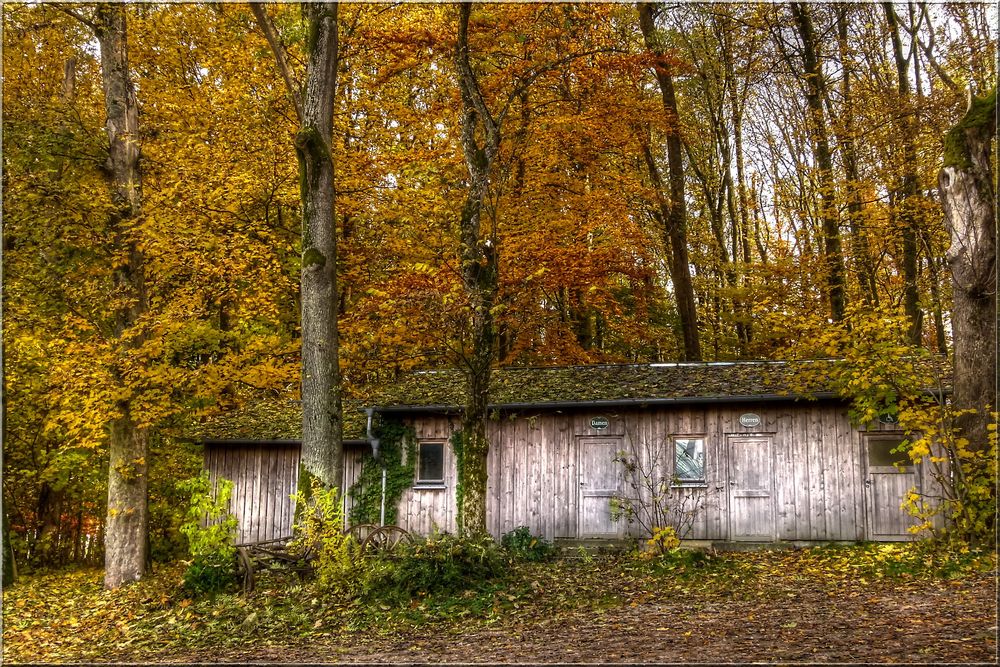 Stilles Örtchen im Herbstwald