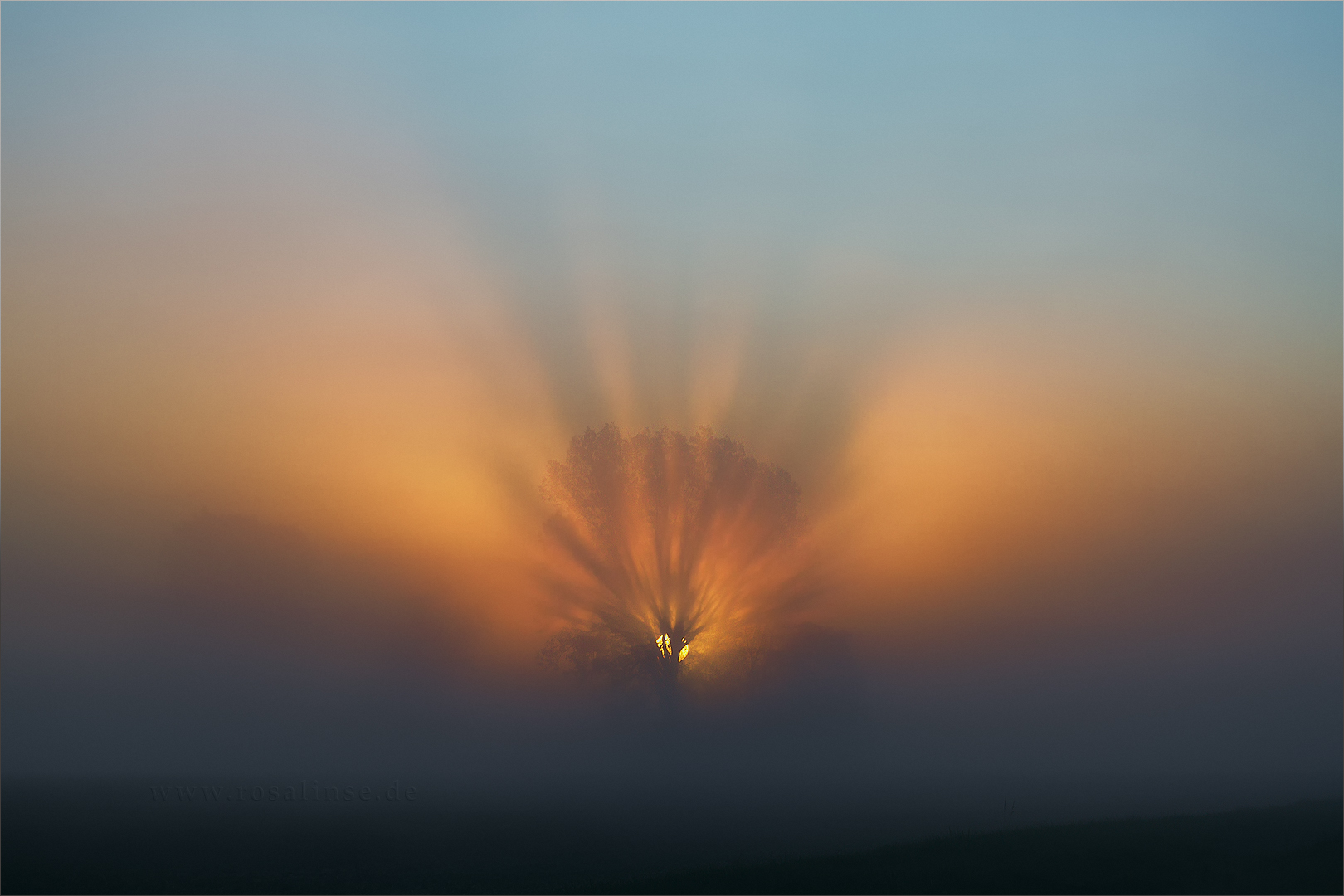 Stilles Spektakel -II-