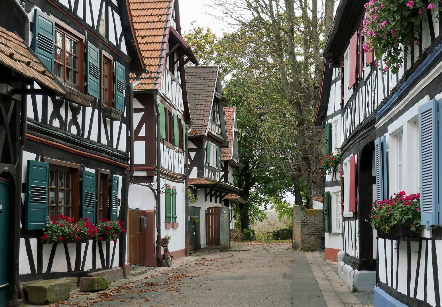 stilles Sträßchen im Herbst