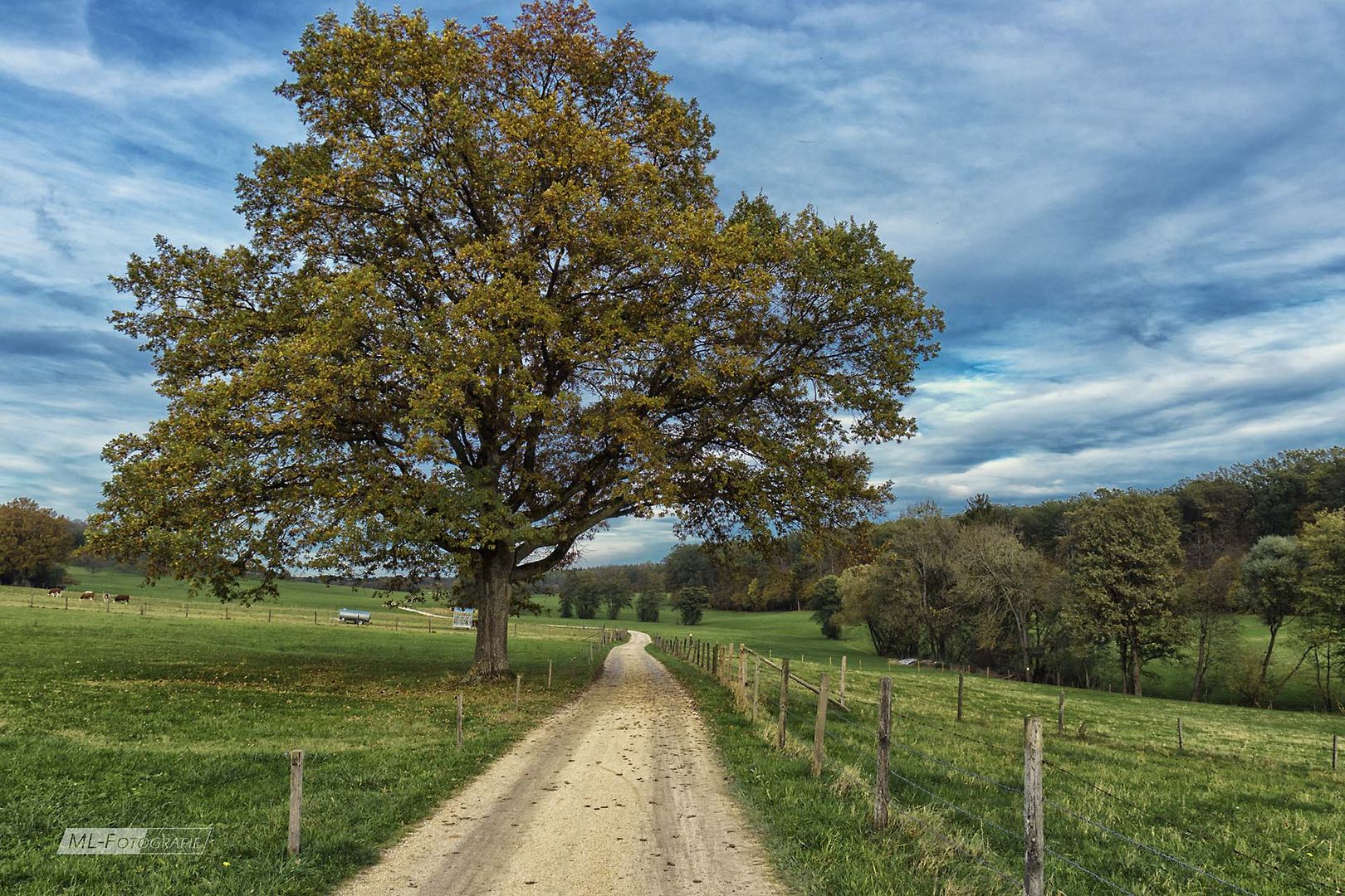 Stilles Tal im Hebst