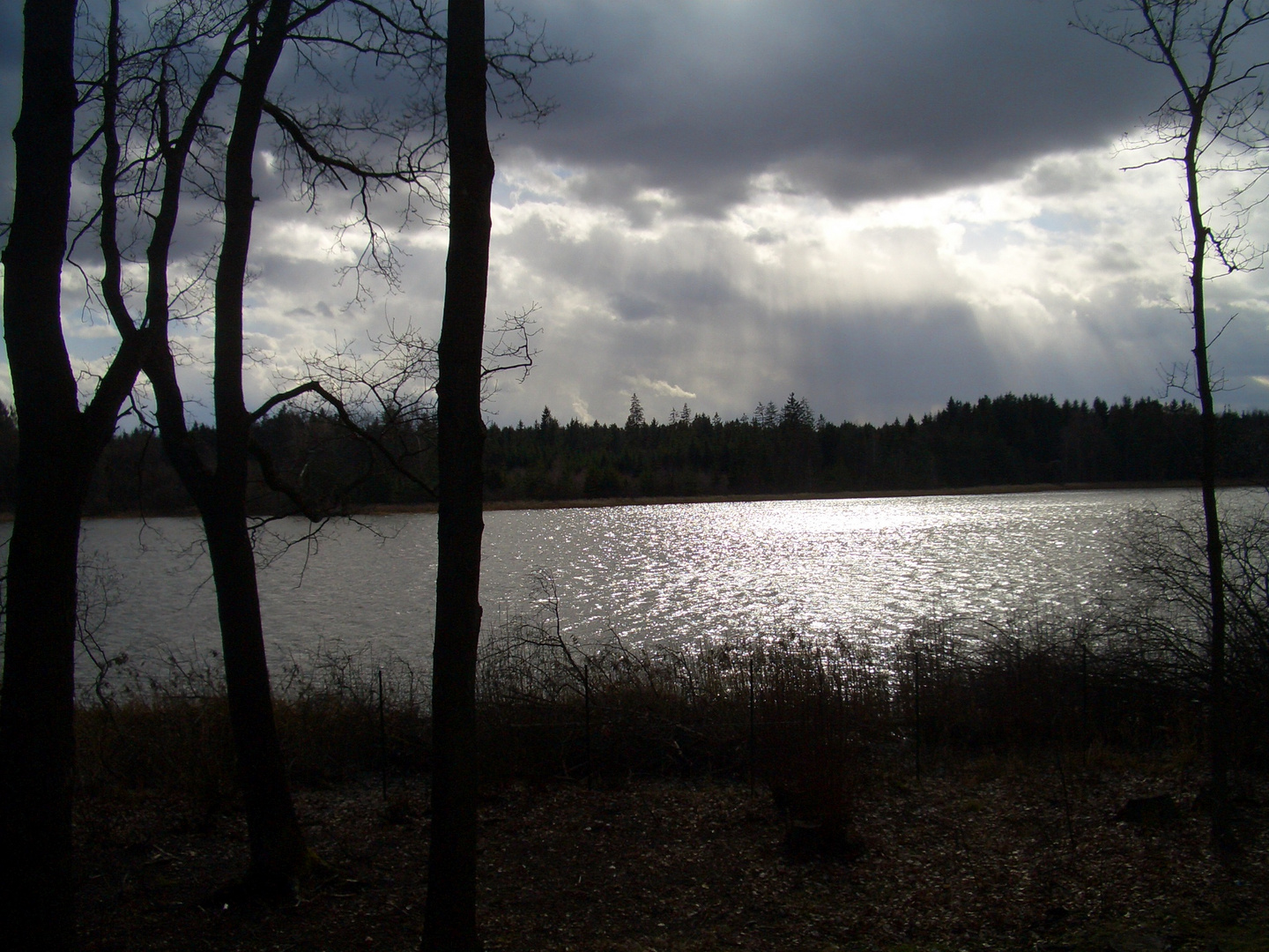 Stilles Waldviertel