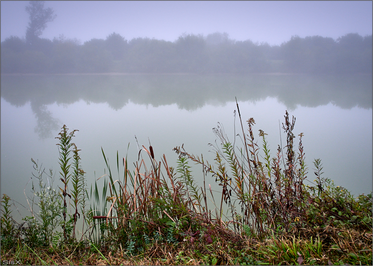 stilles Wasser