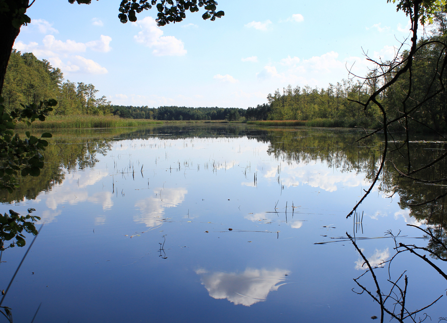 Stilles Wasser