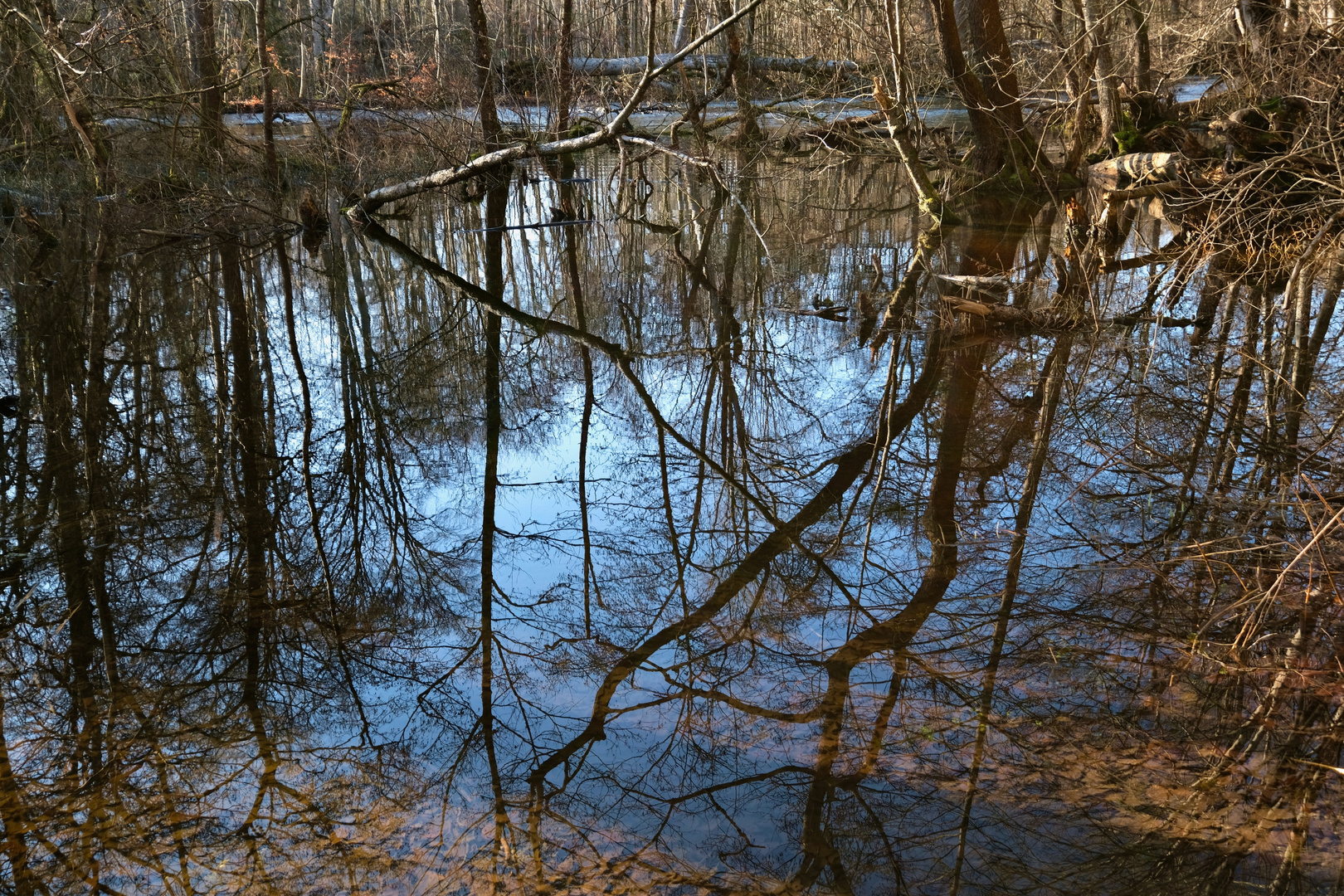 Stilles Wasser