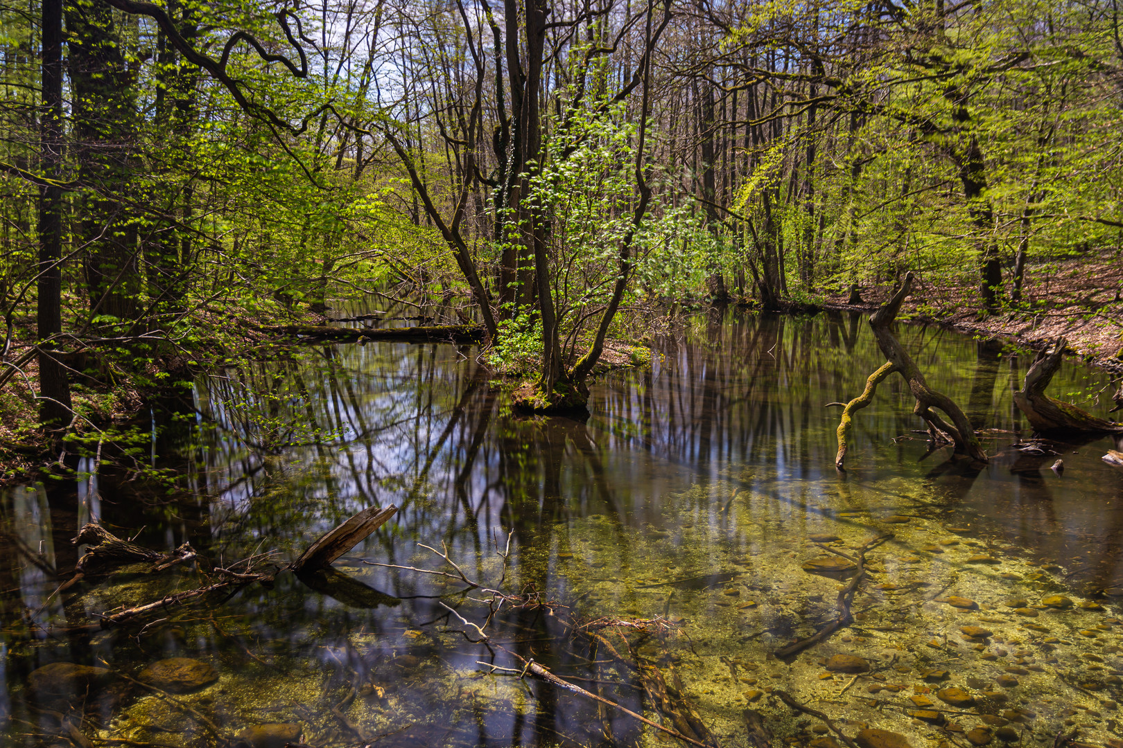 Stilles Wasser - die Nebel