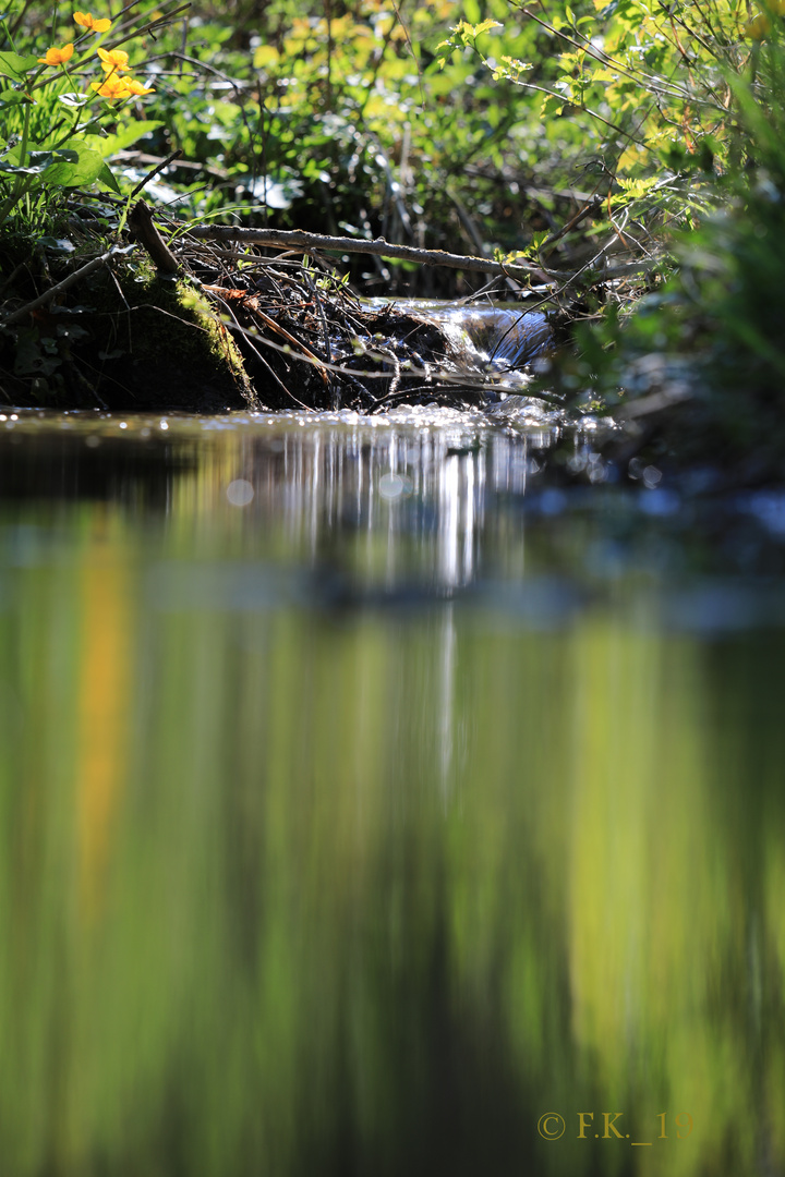 Stilles Wasser