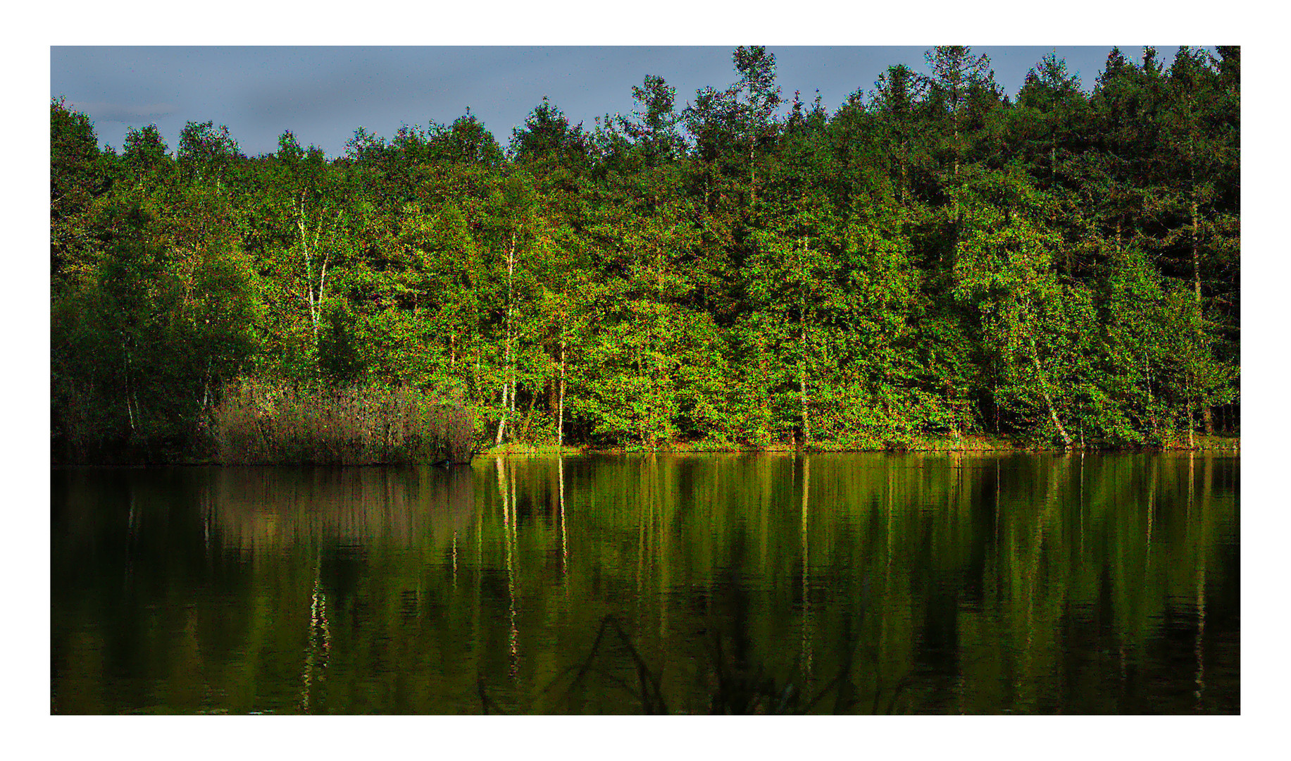 Stilles Wasser in Oel getupft