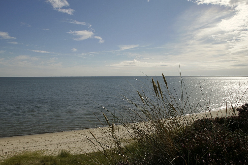 Stilles Wattenmeer....