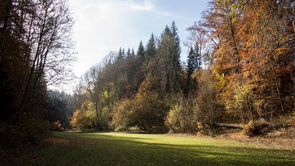 Stilles Weidentäle