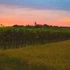 Stillfried an der March - Abendstimmung im niederösterreichischen Weinviertel