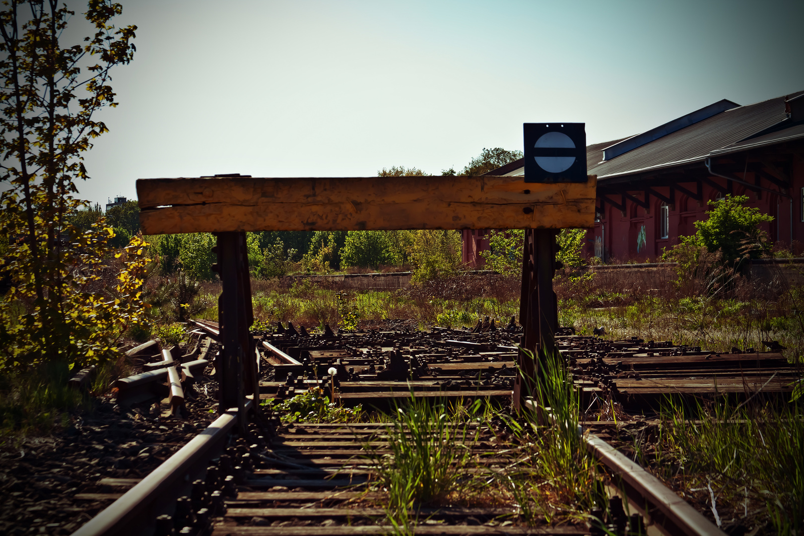 Stillgelegte Bahnschienen