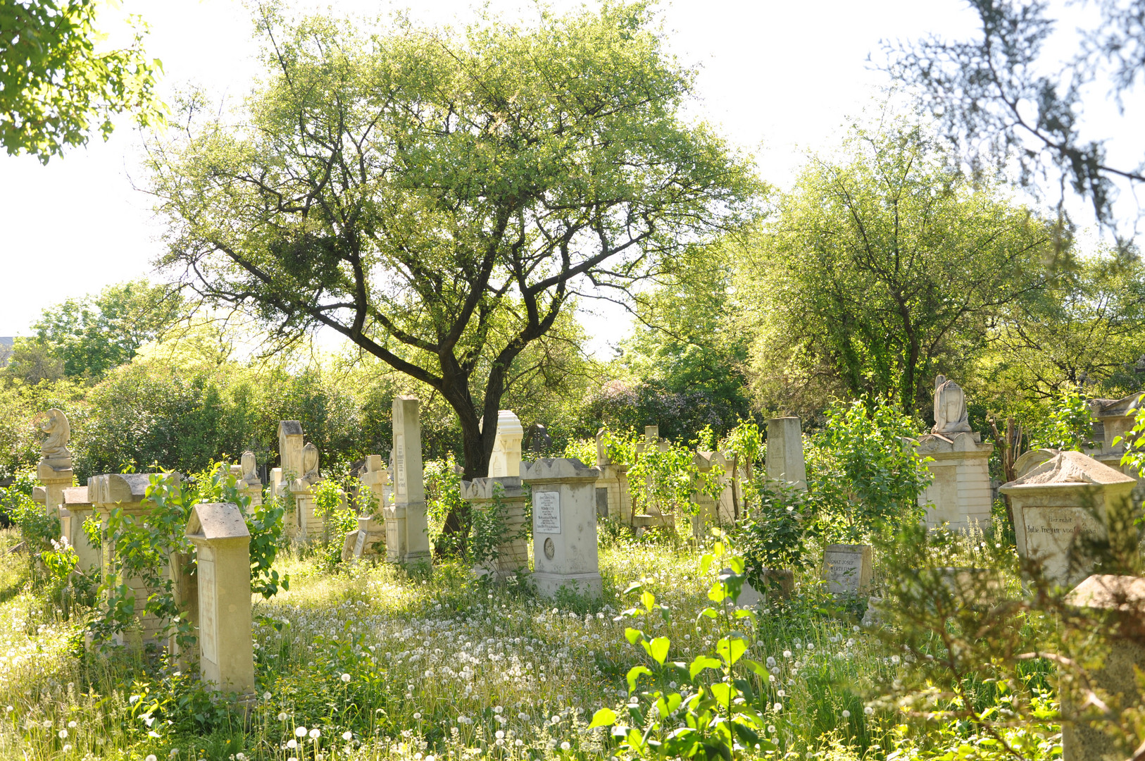 stillgelegter Friedhof