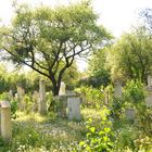 stillgelegter Friedhof