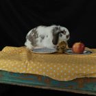 Stillife with a rabbit 