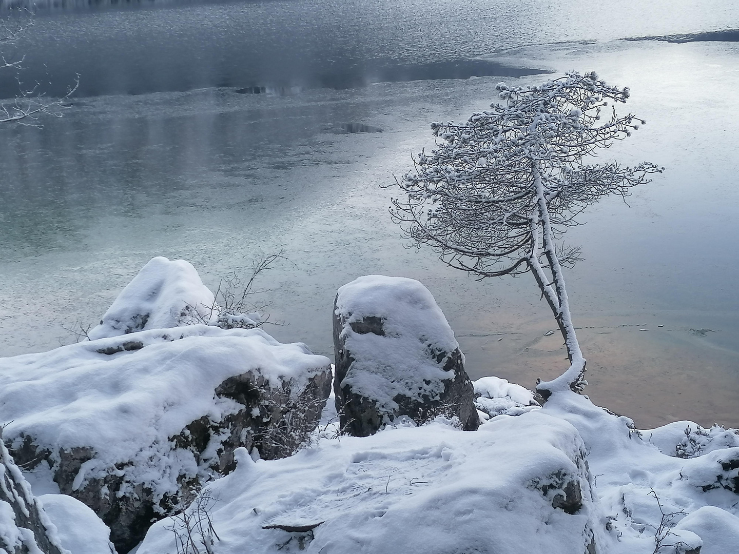 Stillleben am Eibsee