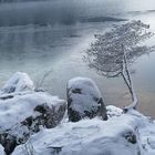 Stillleben am Eibsee