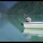 Stillleben am Fluss Oldeelva am Nordfjord