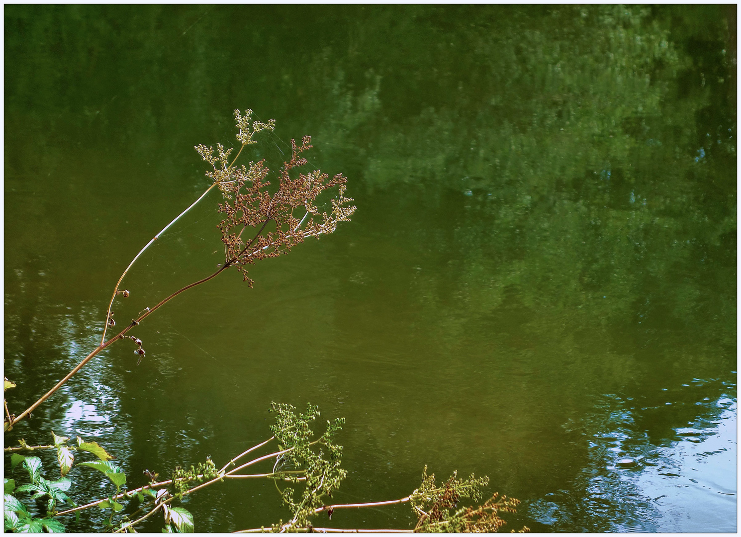 Stillleben am Fluss Roth