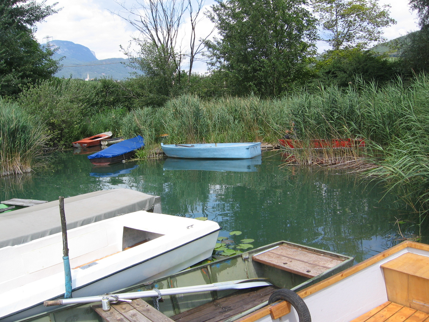 Stillleben am Kalterer See