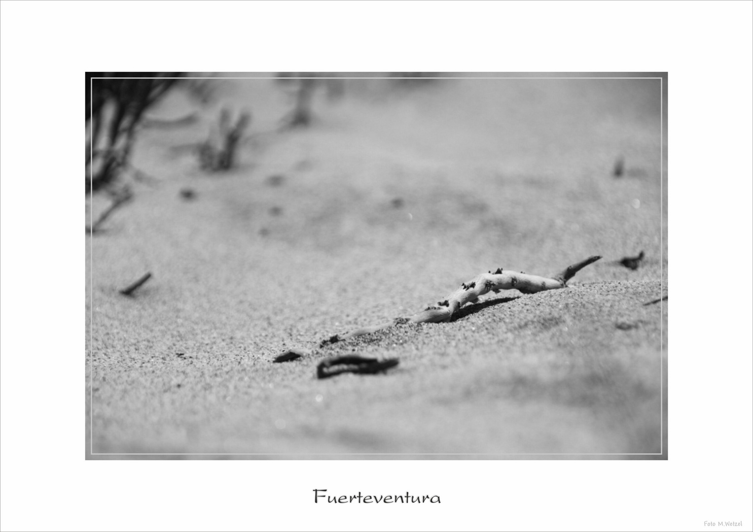 Stillleben am Strand 1