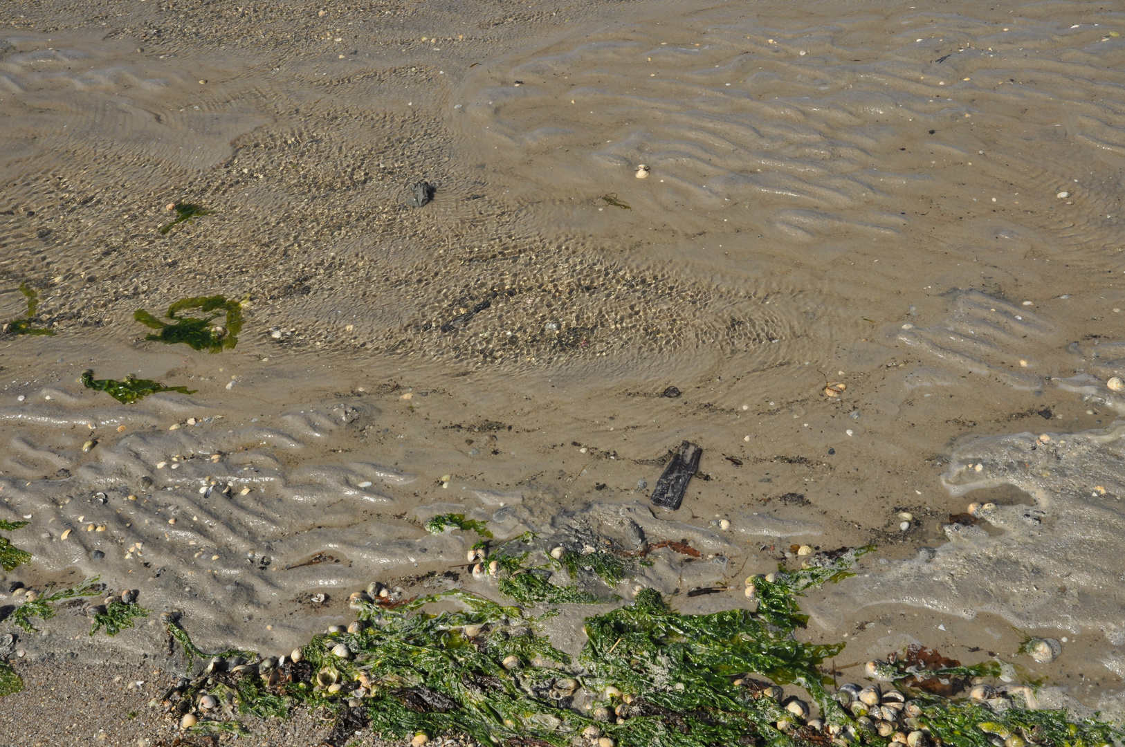 Stillleben am Strand