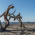 Stillleben am Strand