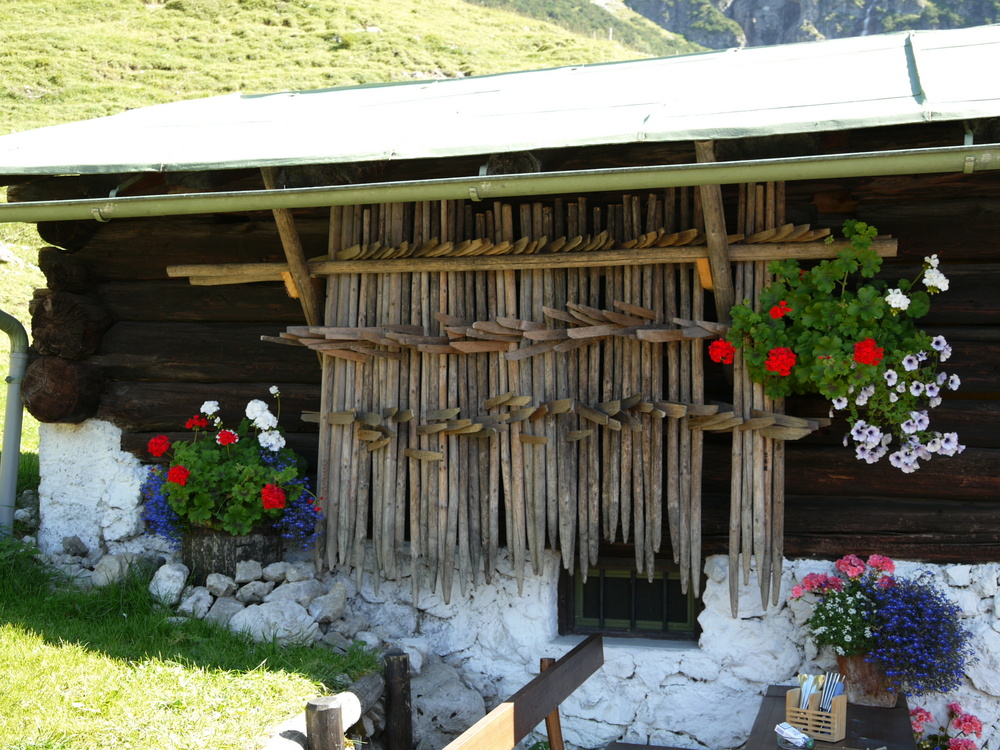 Stillleben auf der Alm