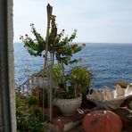 Stillleben auf Ischia